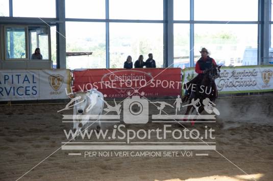 Campionato Italiano AIQH