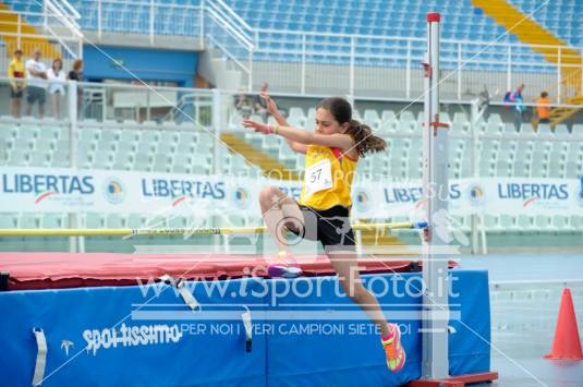 Salto in Alto