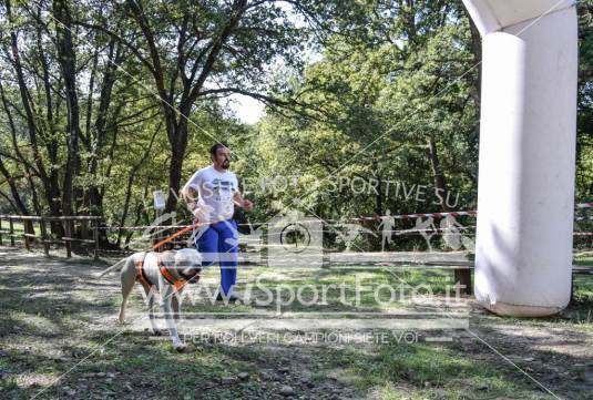 Campionato Italiano CaniCross