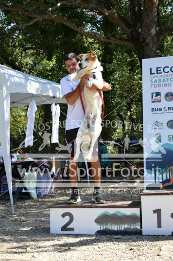 Campionato Italiano CaniCross