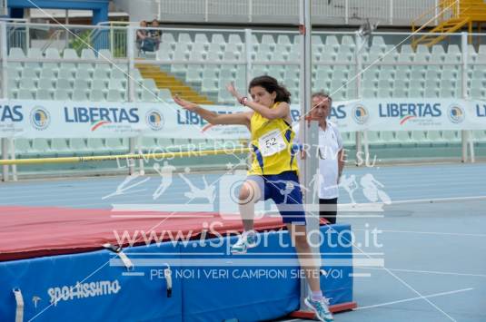 Salto in Alto