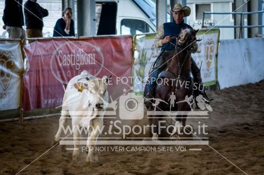 campionato italiano AIQH finale