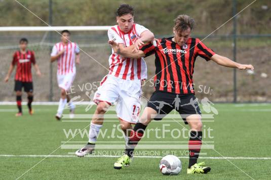 Teramo vs Foggia 3-1