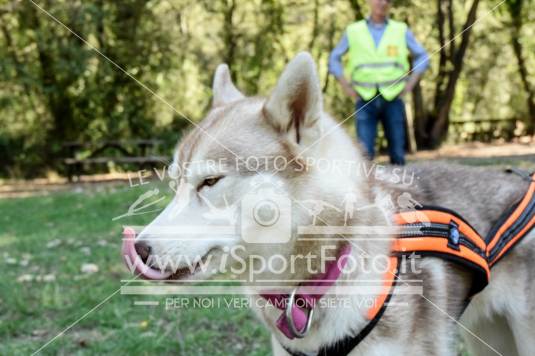 Campionato Italiano CaniCross