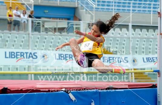 Salto in Alto