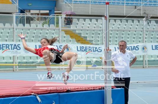 Salto in Alto
